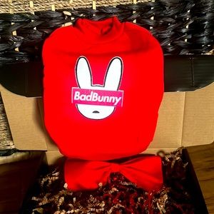 Bad bunny dog sweater in red with a bow